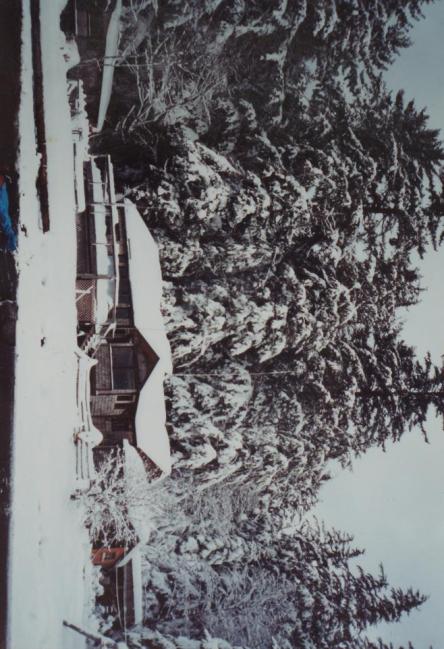 The house at Funter Bay on a snowy day. Normally winter was just wet, and snow didn't tend to last very long. 