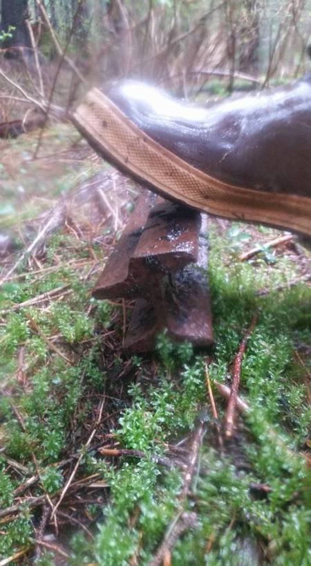 brian_weed_Endicott_Rail